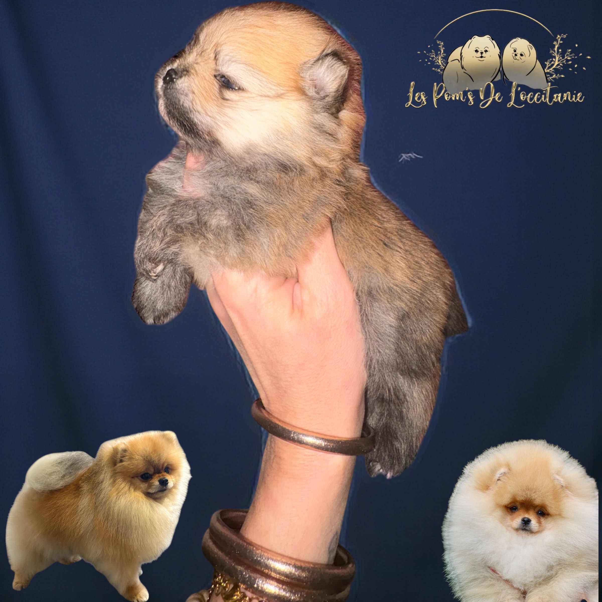 Photoroom_20260107_172127