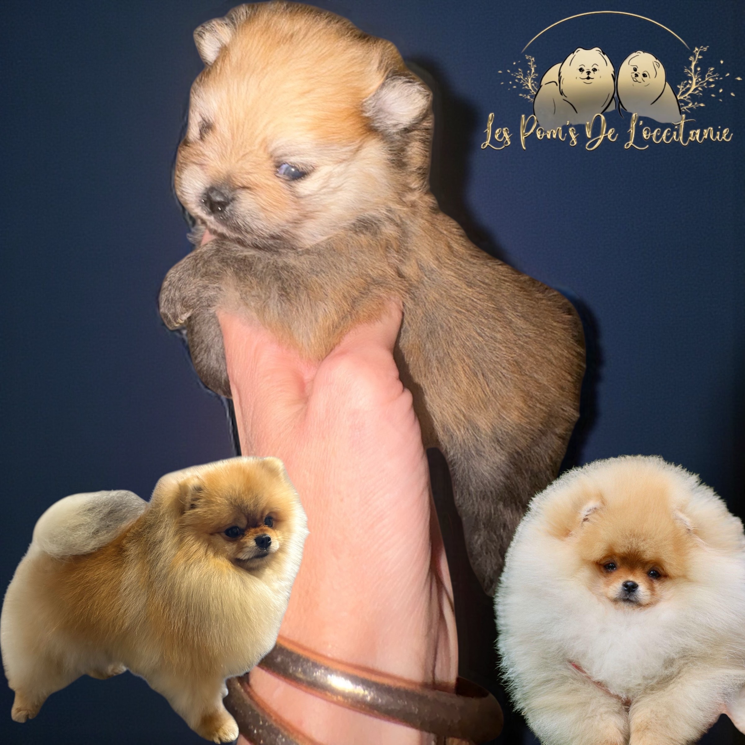 Photoroom_20260107_172509